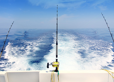 Experimente un viaje de pesca en alta mar